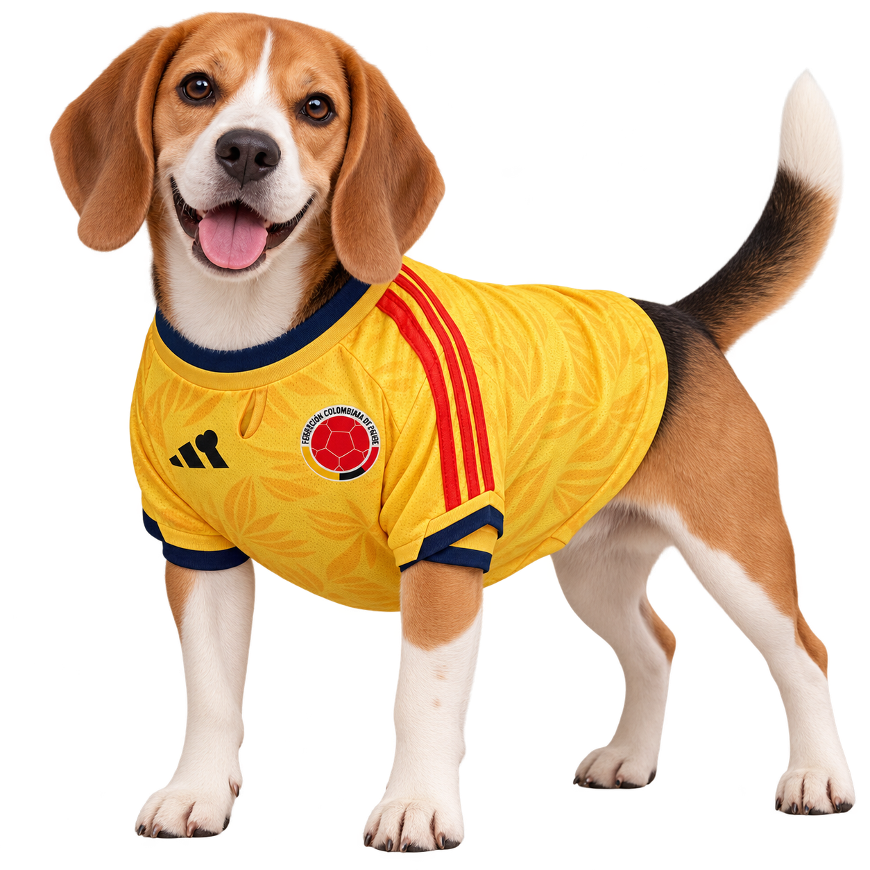 Perro beagle con camiseta amarilla de Colombia