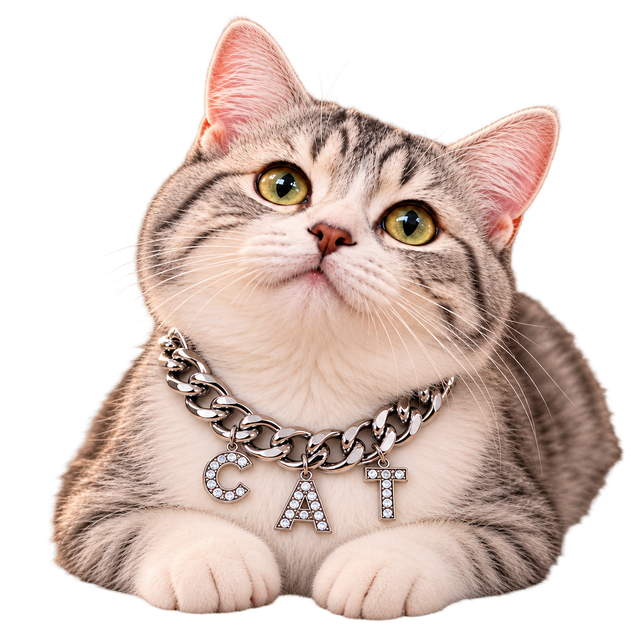 Gato con cadena plateada CAT